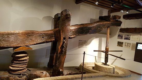 The Olive Oil Museum